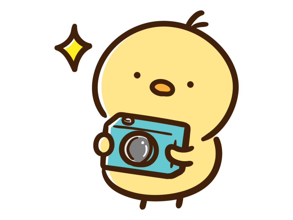 カメラマンのひよこ